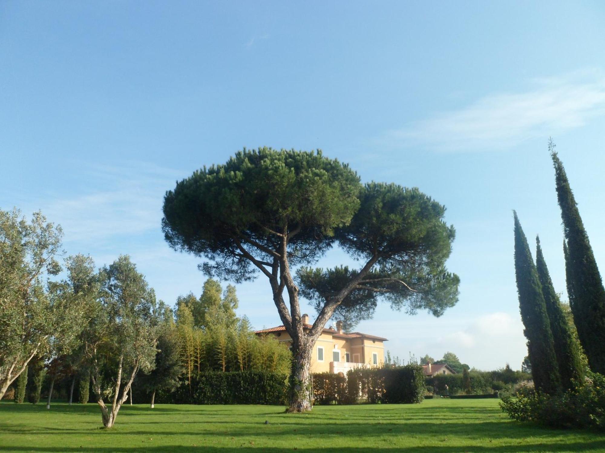Casale Di Tormaggiore Villa And Country Suites Pomezia Zewnętrze zdjęcie